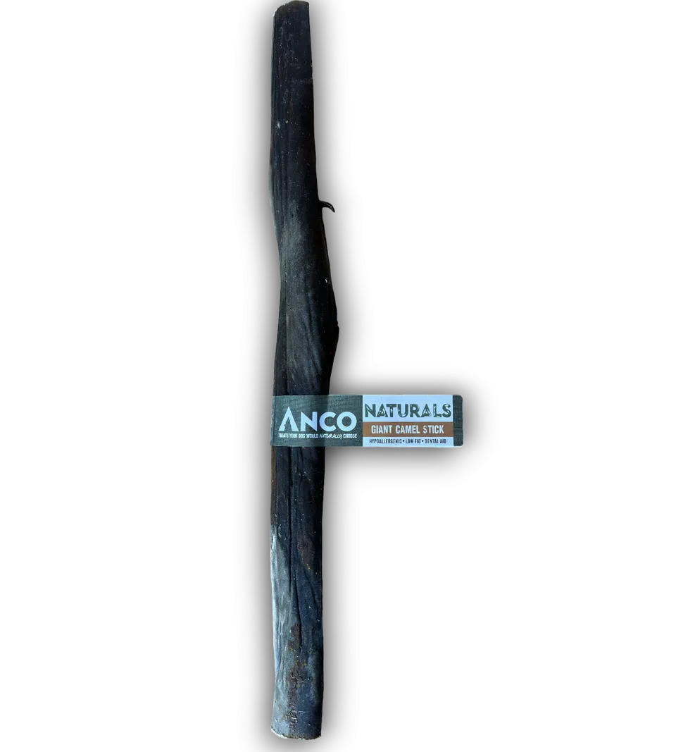 Giant Camel Stick
